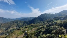 【郊山縱走】奮進向上行 謹慎下坡走 金牌縱走